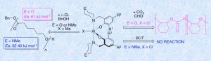 Al complexes for ring-opening polymerization of caprolactone and activation of carbon dioxide