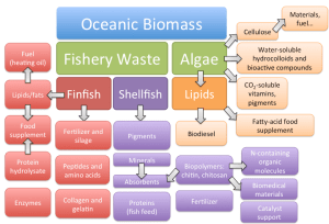 A figure from the paper summarizing some of the potential products/materials available from marine sources
