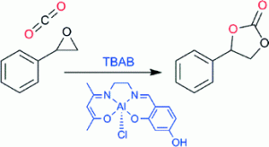 Alcat-Marchsubmission