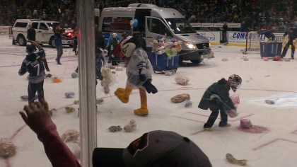 Buddy abusing the bears