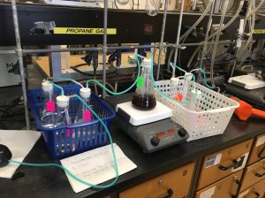 dxmumnbx4ae84p8.jpg large